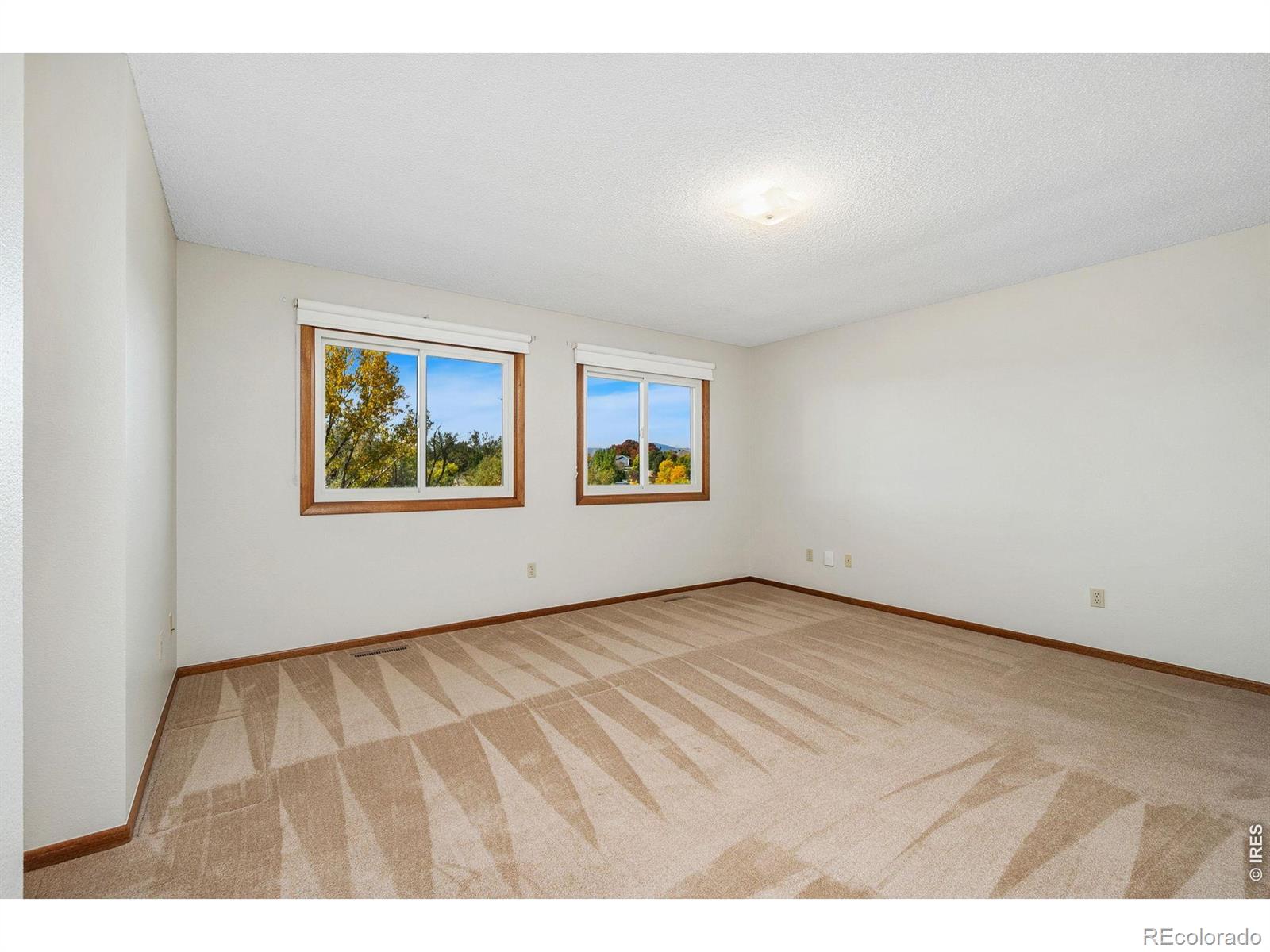 MLS Image #16 for 4837  filbert drive,loveland, Colorado