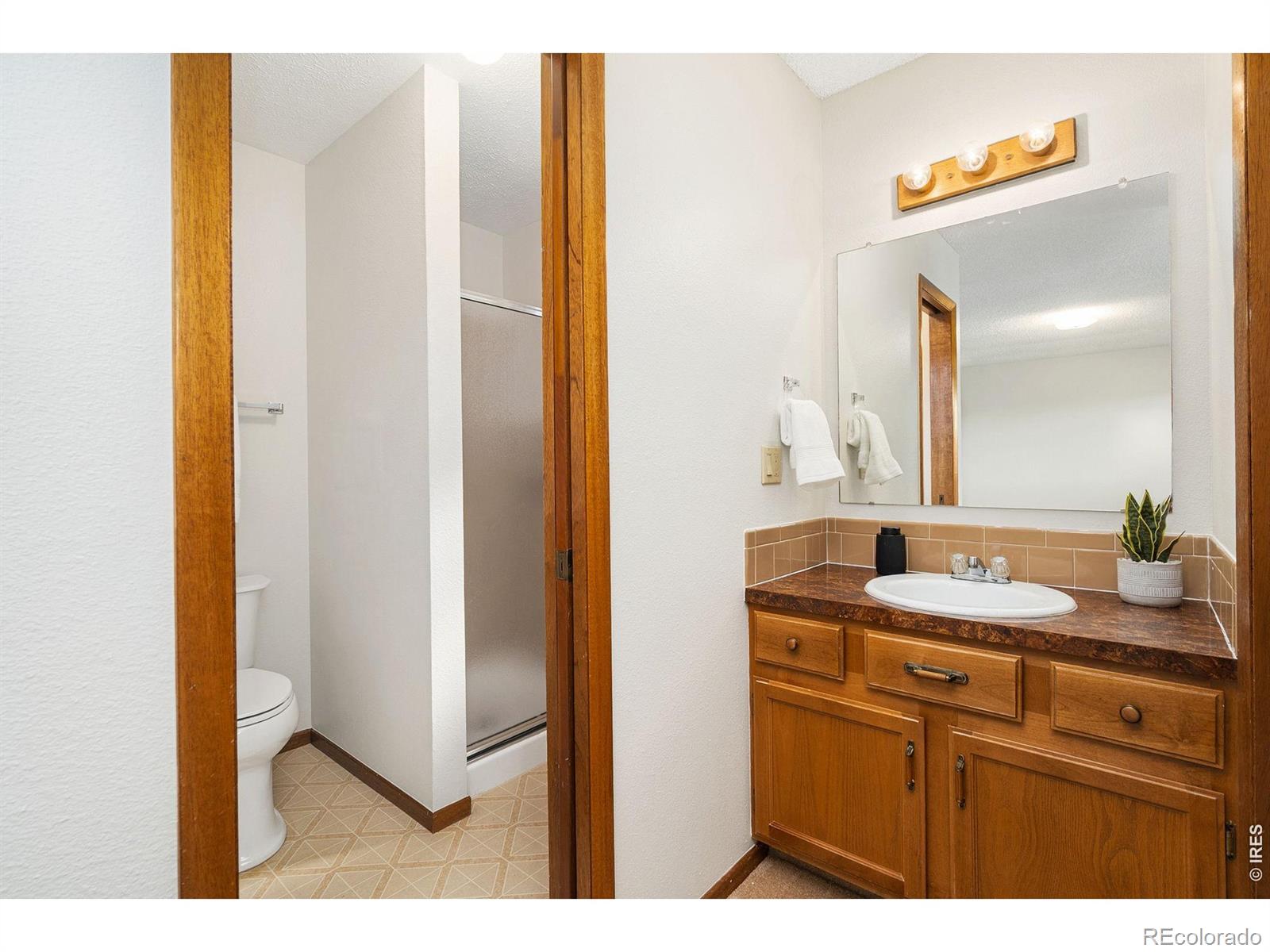 MLS Image #19 for 4837  filbert drive,loveland, Colorado