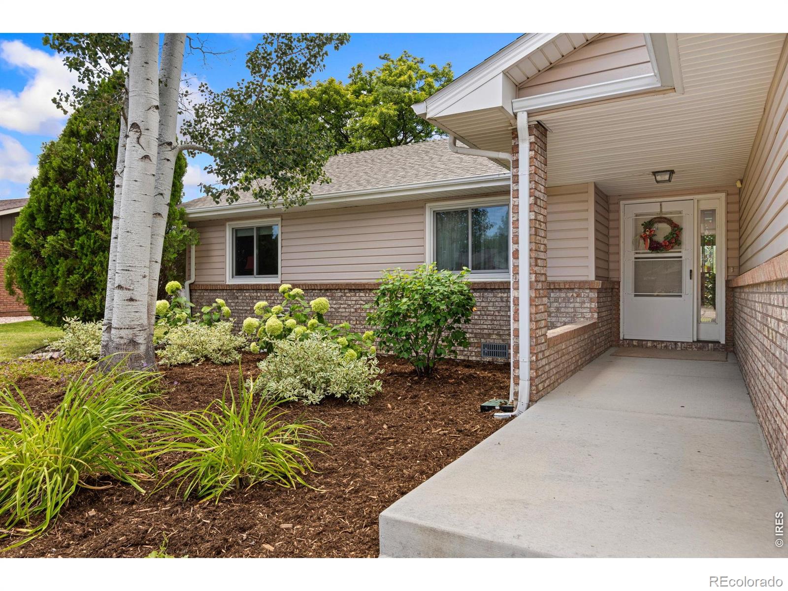 MLS Image #2 for 4837  filbert drive,loveland, Colorado
