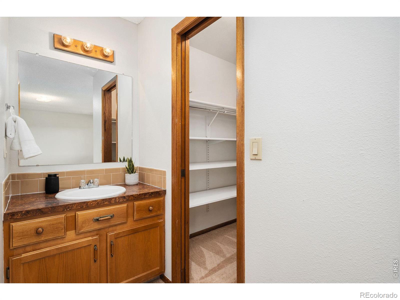 MLS Image #20 for 4837  filbert drive,loveland, Colorado
