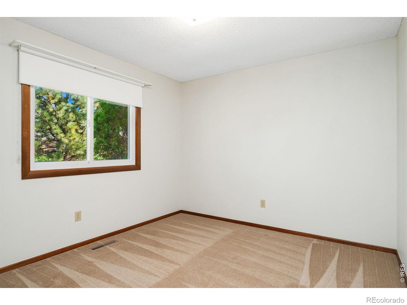 MLS Image #21 for 4837  filbert drive,loveland, Colorado