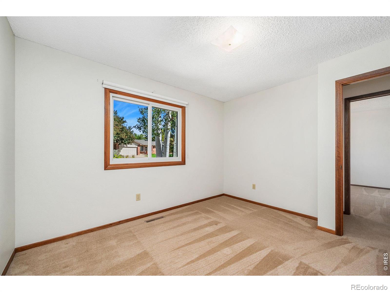 MLS Image #25 for 4837  filbert drive,loveland, Colorado