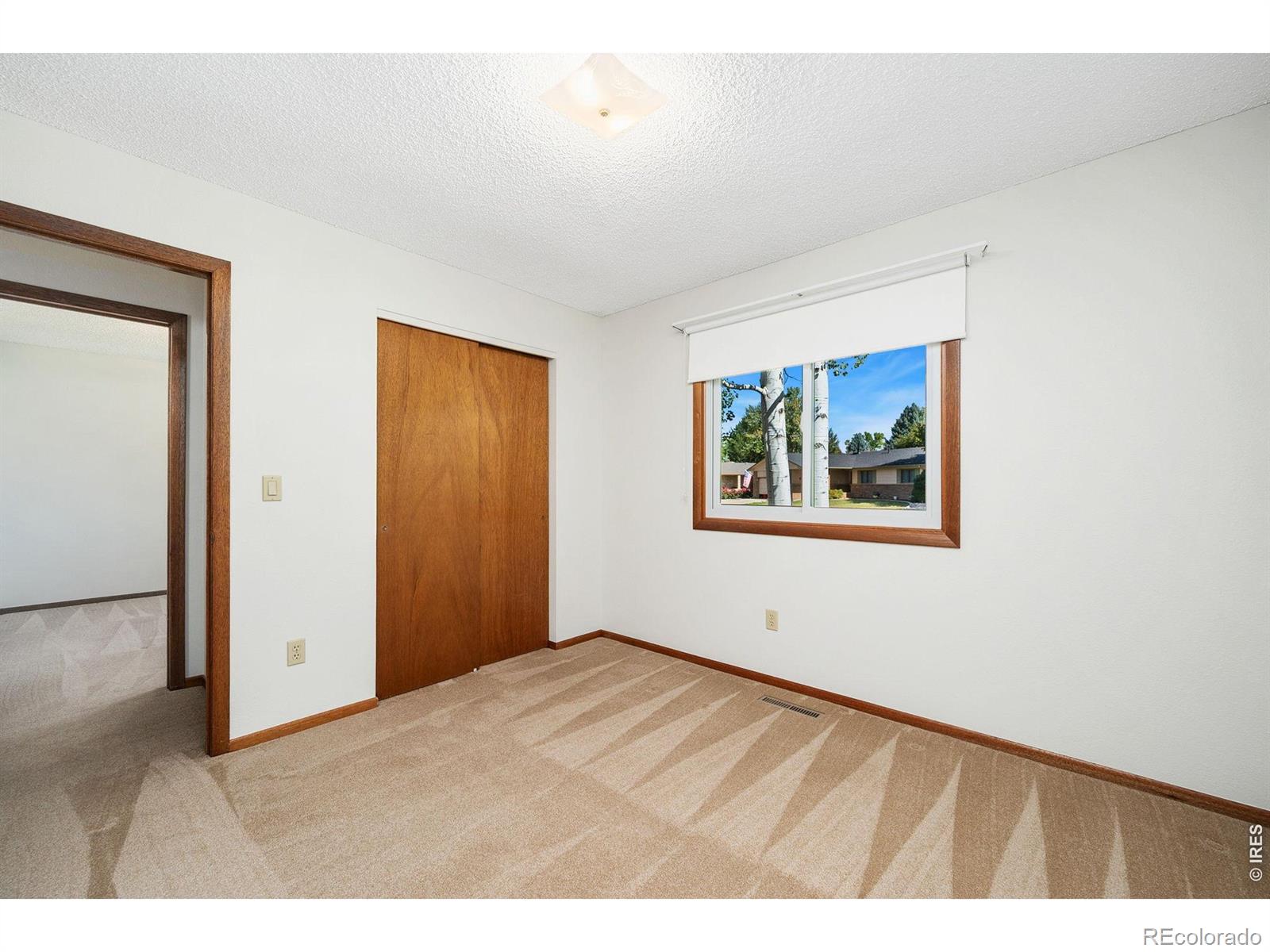 MLS Image #26 for 4837  filbert drive,loveland, Colorado
