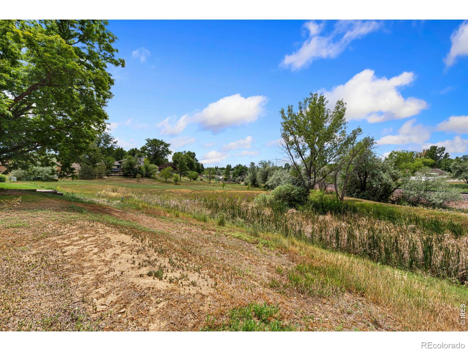 MLS Image #31 for 4837  filbert drive,loveland, Colorado