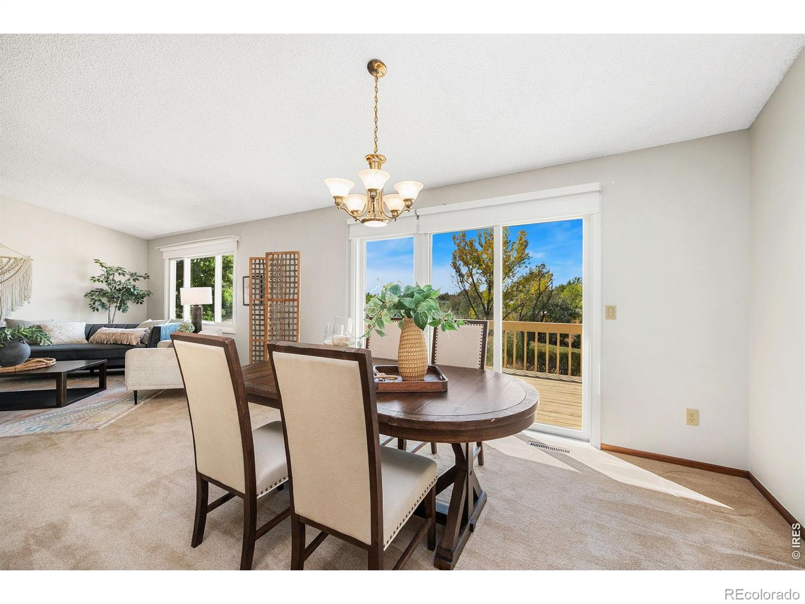 MLS Image #8 for 4837  filbert drive,loveland, Colorado