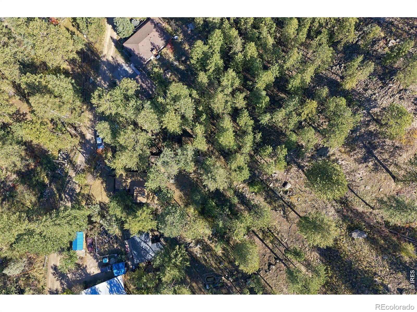 MLS Image #41 for 204  waltonia road,drake, Colorado