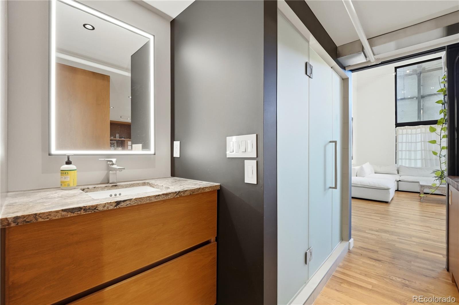 MLS Image #15 for 3377  blake street 205,denver, Colorado