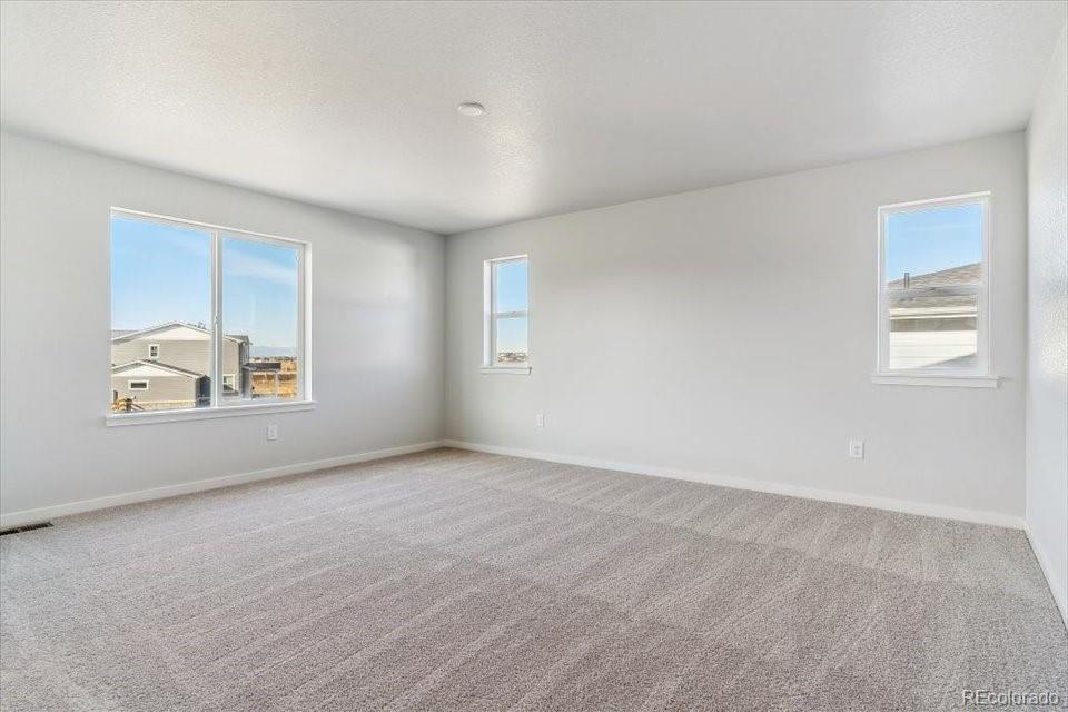 MLS Image #16 for 3511  switchgrass lane,dacono, Colorado