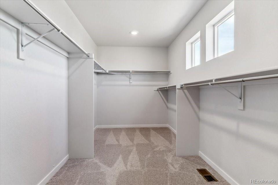 MLS Image #19 for 3511  switchgrass lane,dacono, Colorado