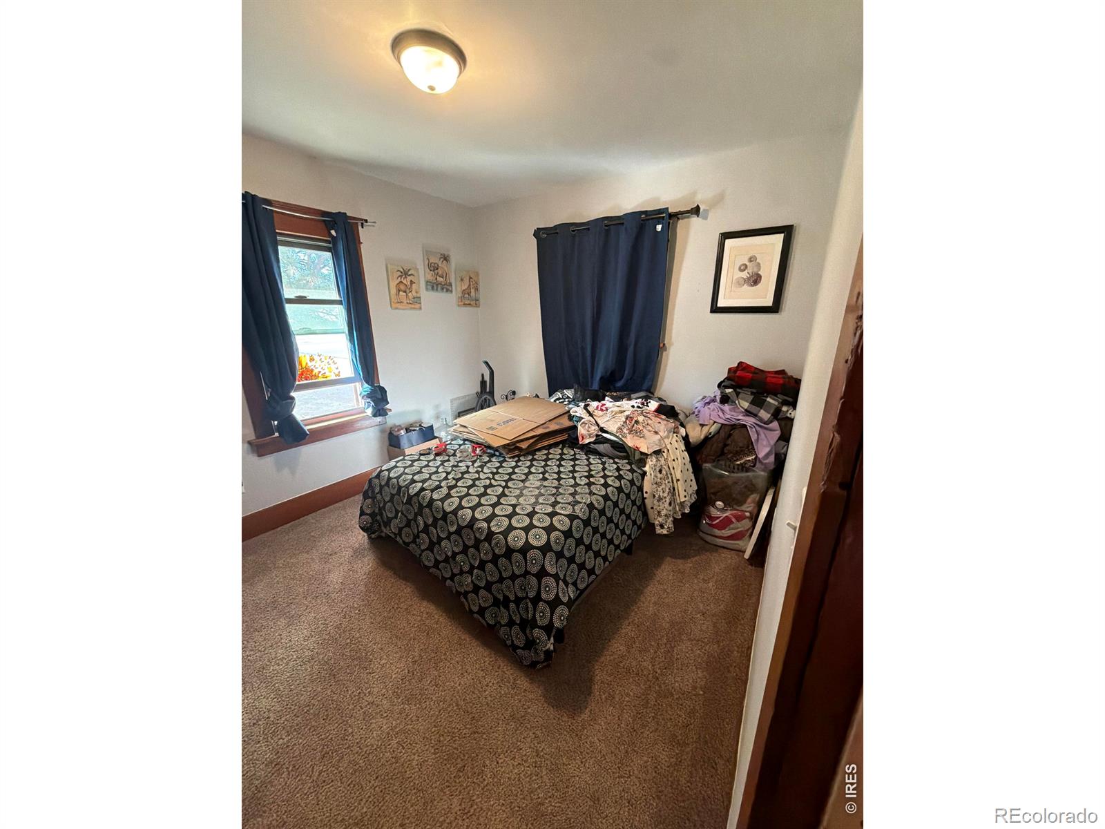 MLS Image #20 for 907  edison street,brush, Colorado