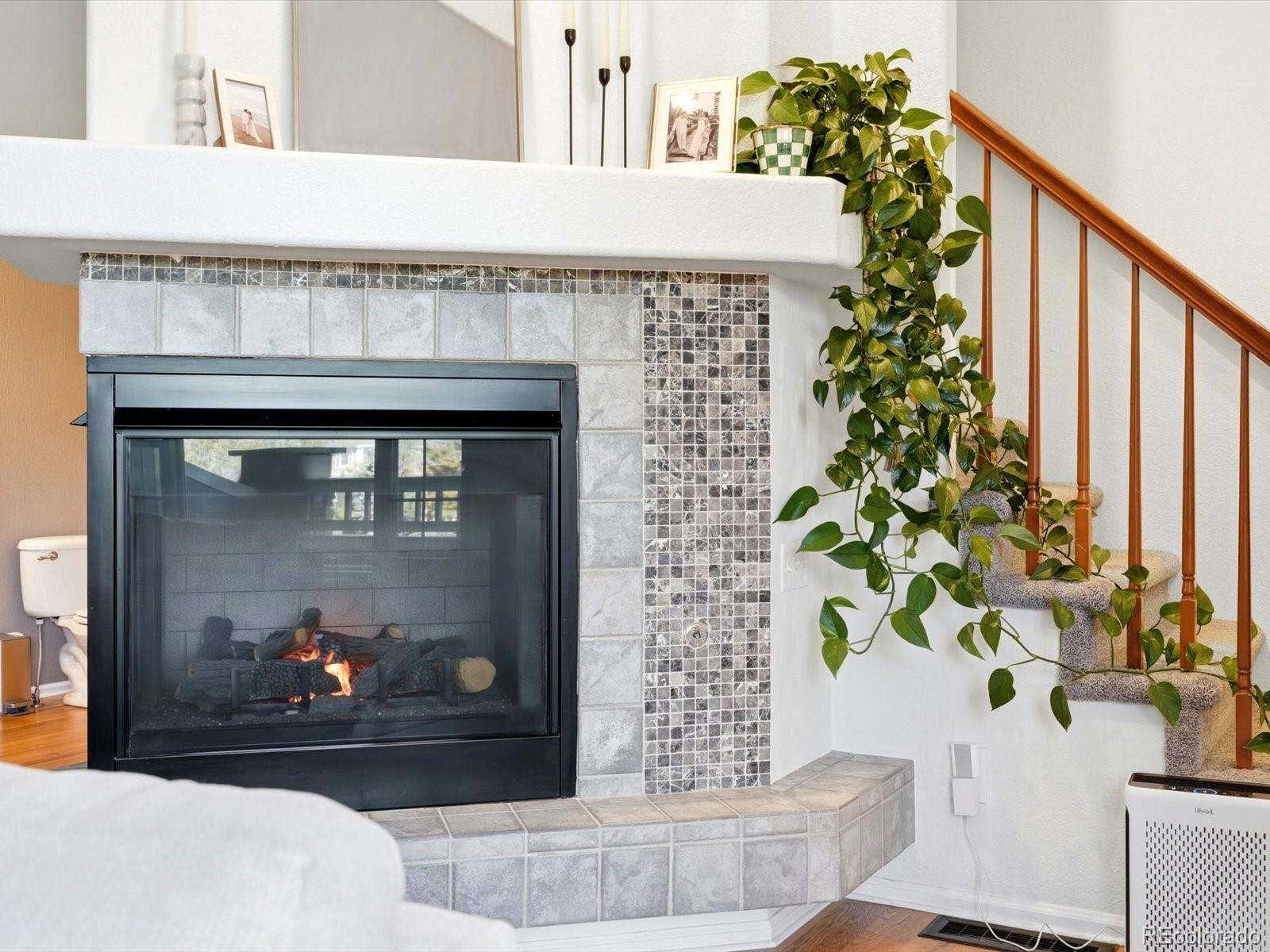 MLS Image #8 for 6255  terry street,golden, Colorado
