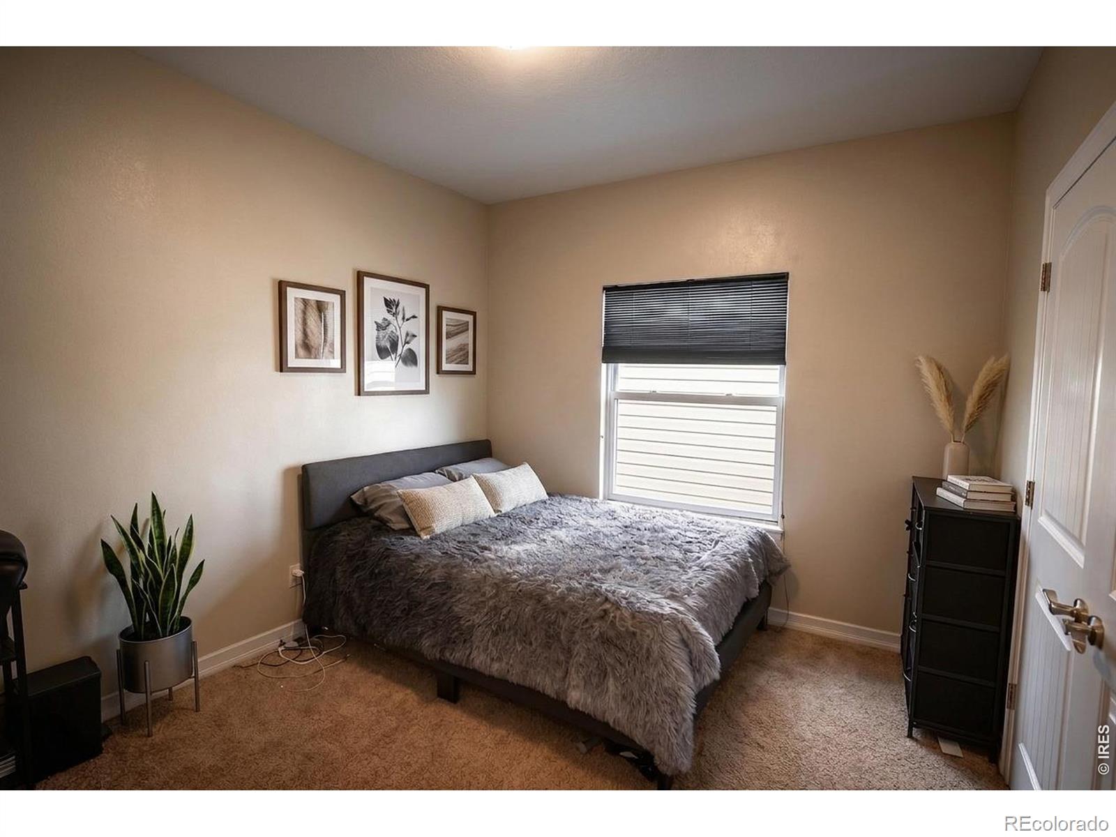 MLS Image #6 for 1313  60th avenue,greeley, Colorado