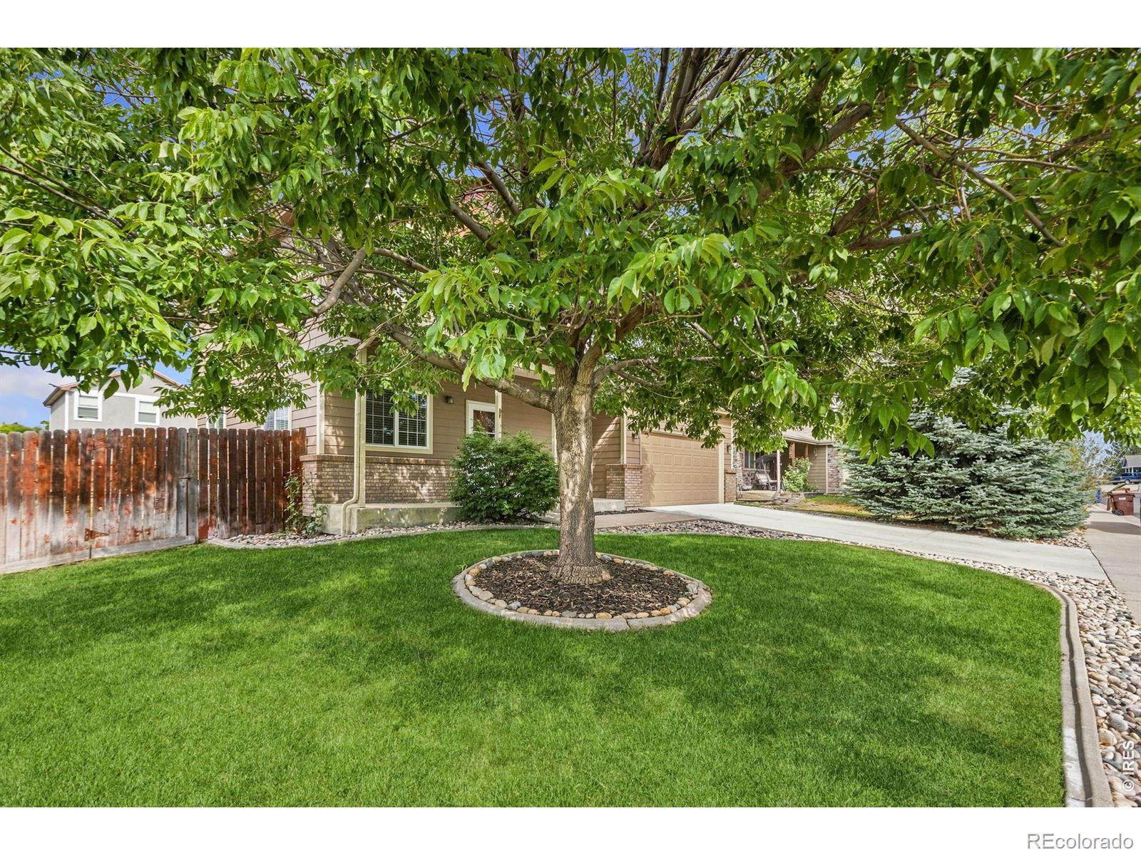MLS Image #2 for 95  pike lane,severance, Colorado