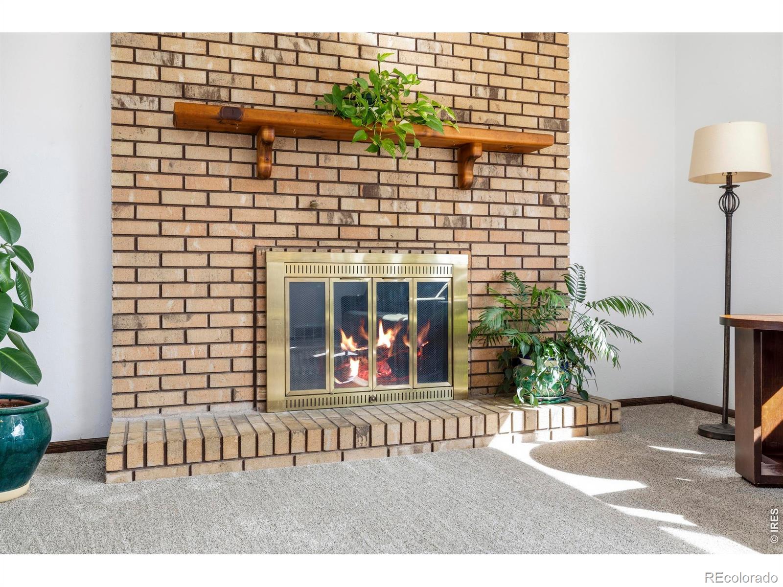 MLS Image #8 for 3701  yale drive,longmont, Colorado