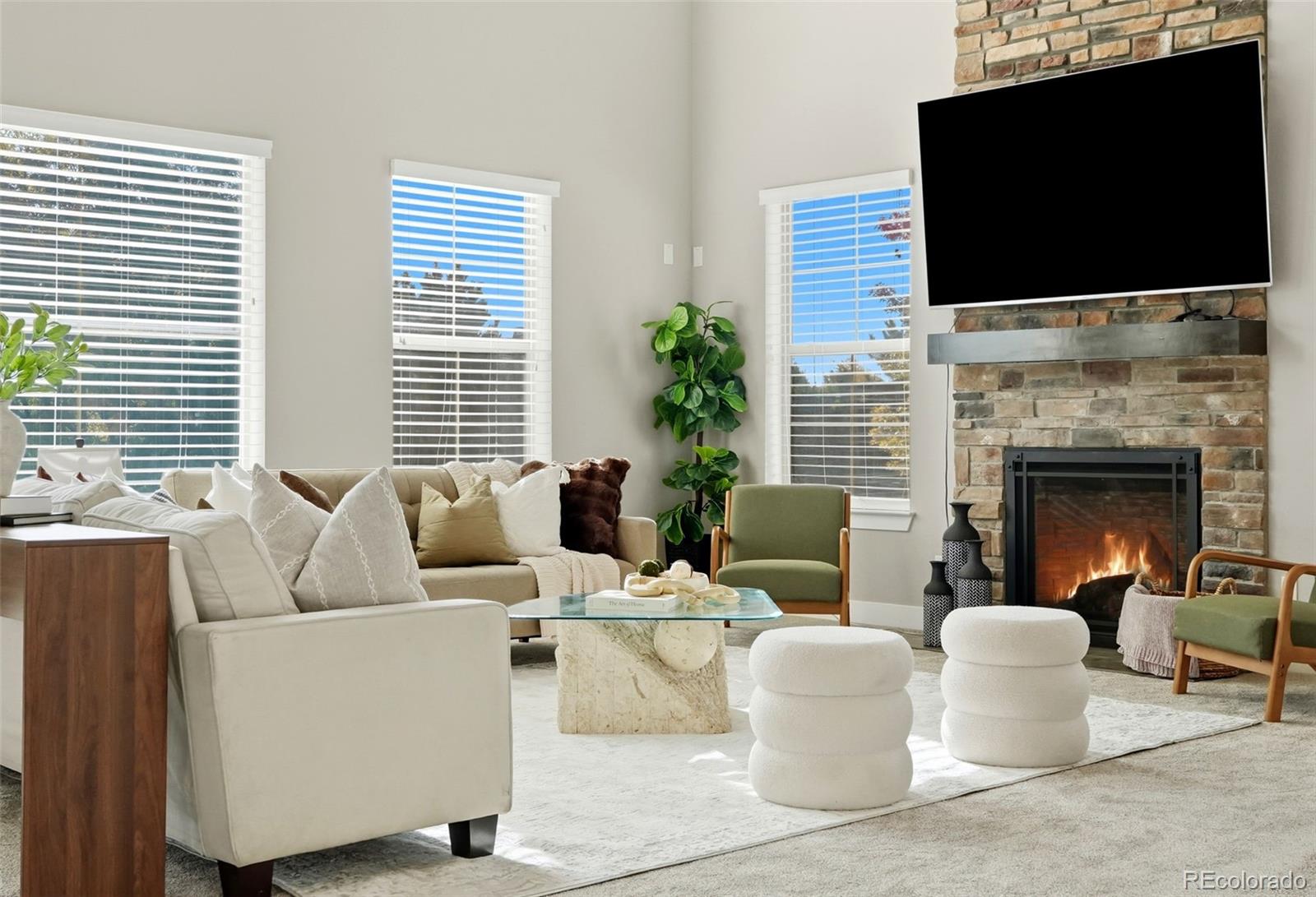 MLS Image #17 for 11608  pine canyon lane,parker, Colorado