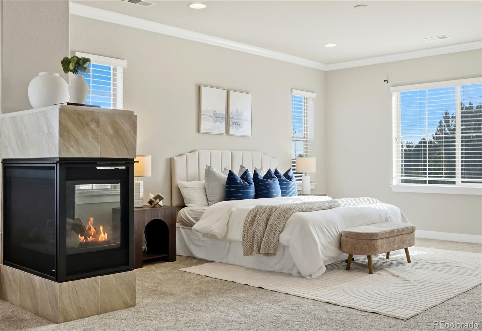 MLS Image #25 for 11608  pine canyon lane,parker, Colorado