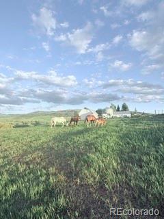 MLS Image #8 for 27940 w us highway 40 ,steamboat springs, Colorado