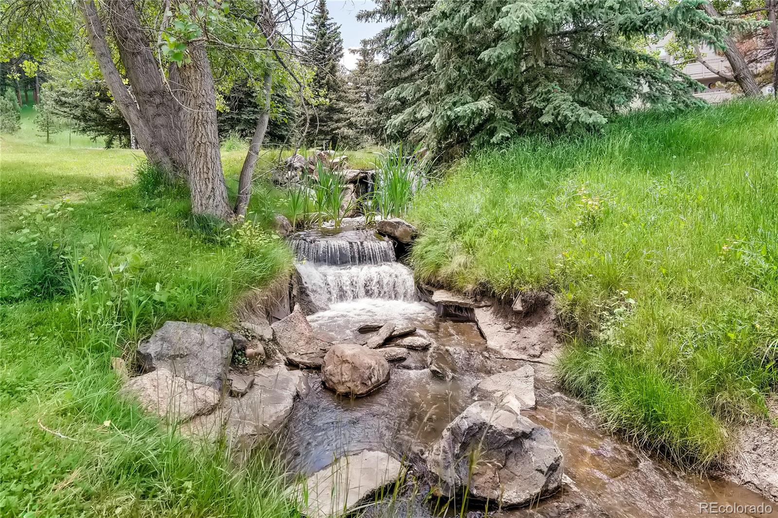 MLS Image #32 for 23568  pondview place,golden, Colorado