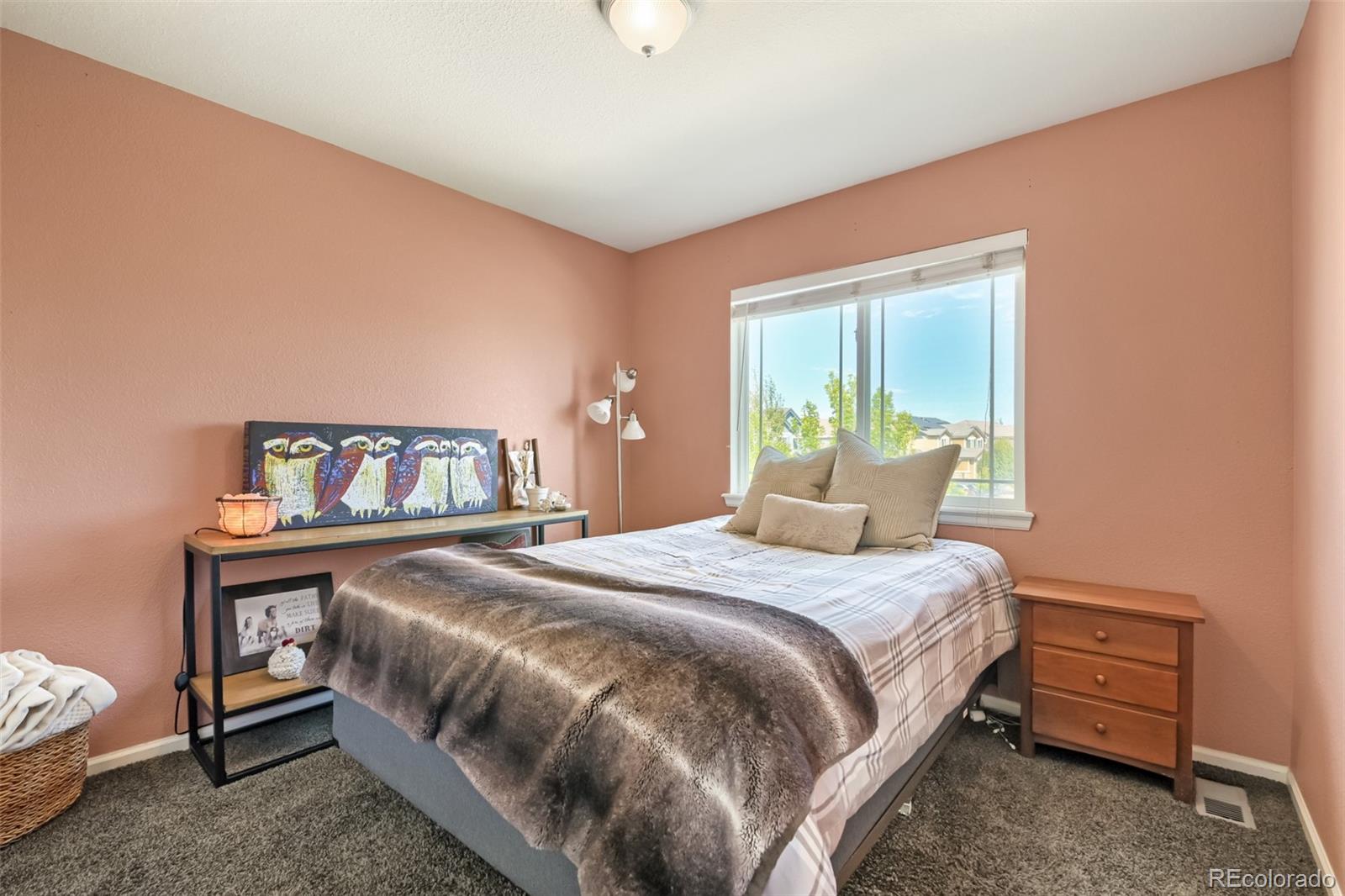MLS Image #11 for 4585  sedona lane,dacono, Colorado