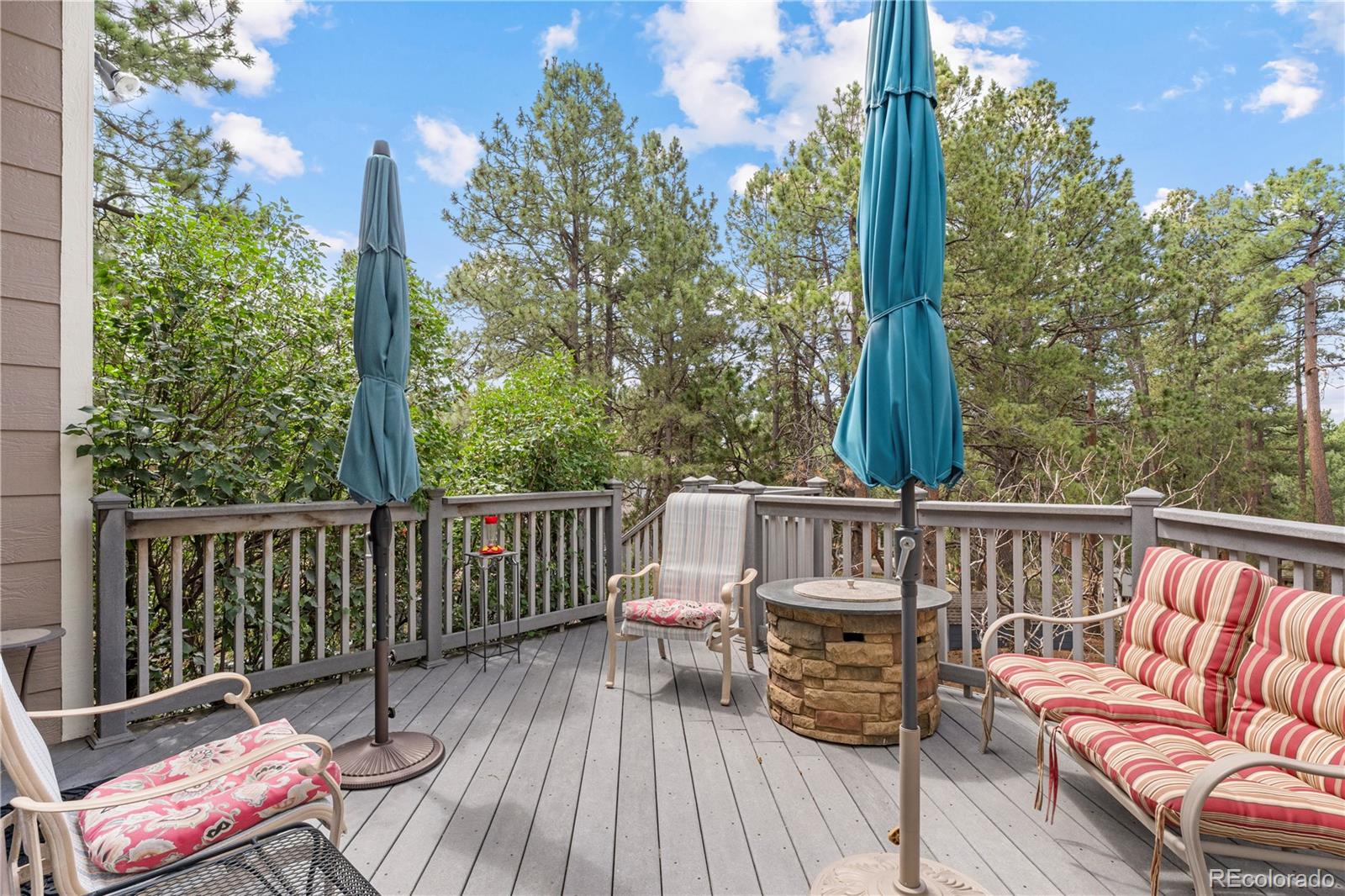 MLS Image #11 for 17730  grama ridge,colorado springs, Colorado