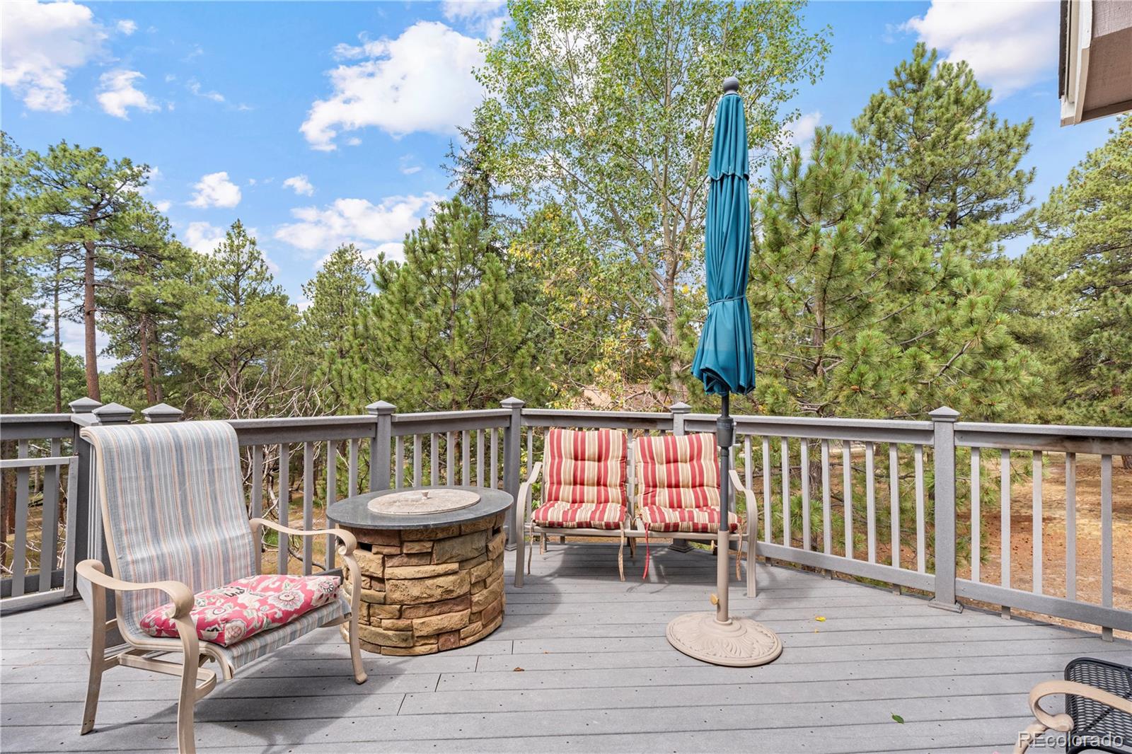 MLS Image #14 for 17730  grama ridge,colorado springs, Colorado