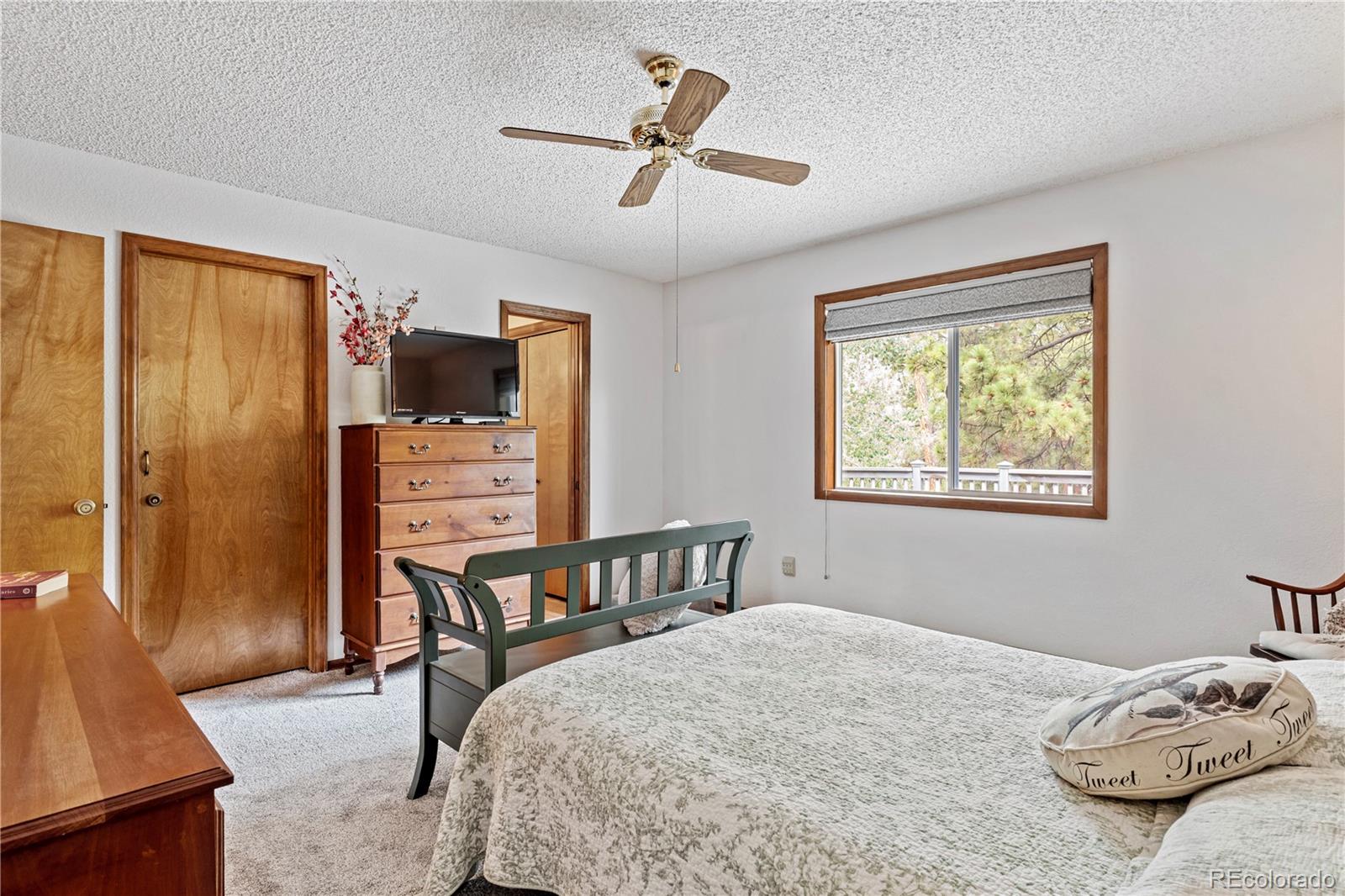 MLS Image #27 for 17730  grama ridge,colorado springs, Colorado