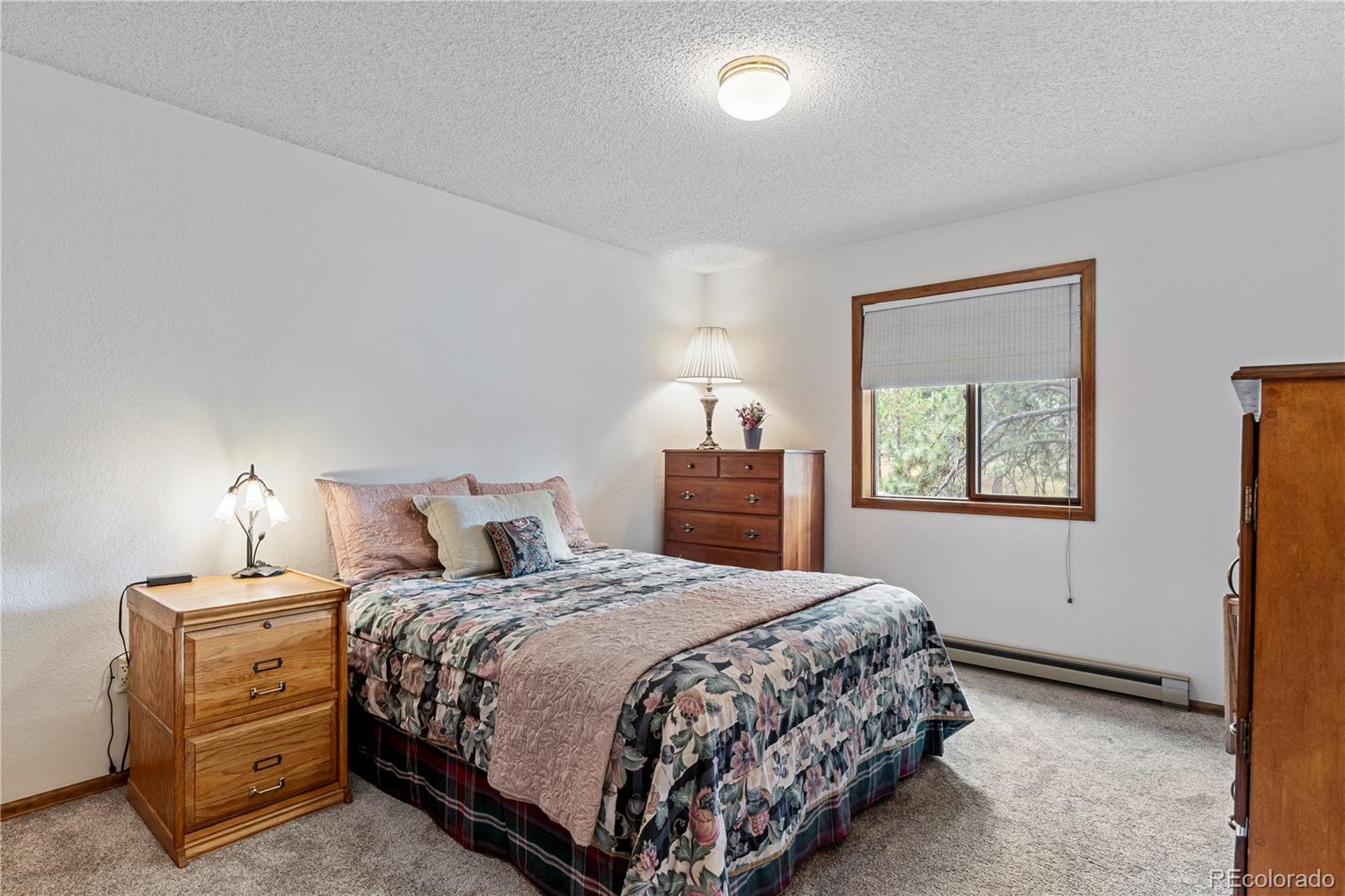 MLS Image #31 for 17730  grama ridge,colorado springs, Colorado