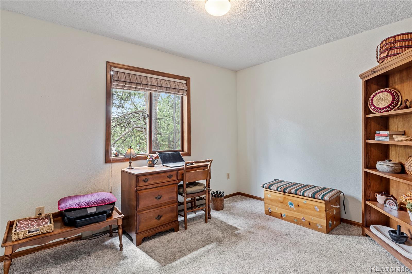 MLS Image #34 for 17730  grama ridge,colorado springs, Colorado