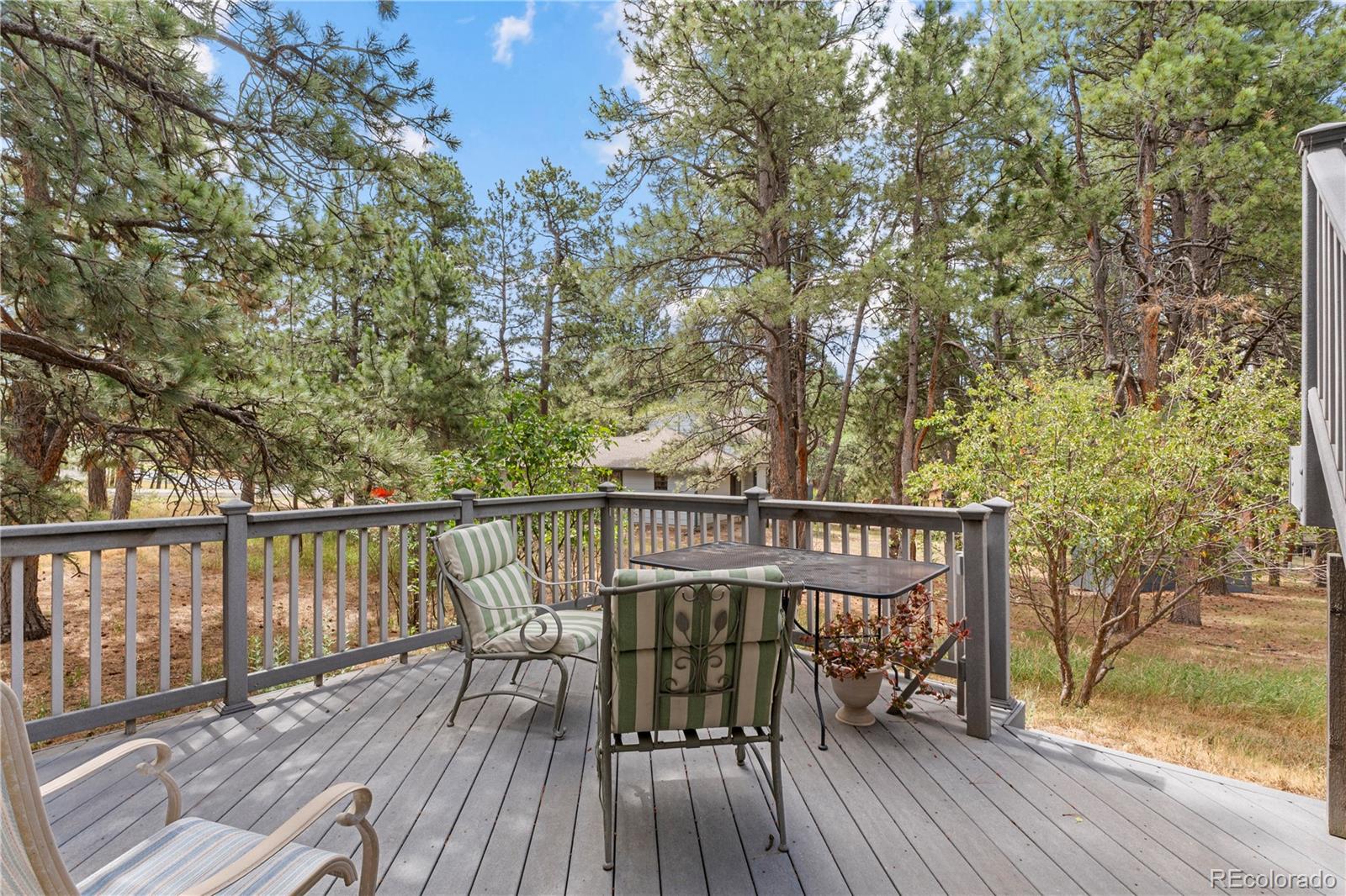 MLS Image #39 for 17730  grama ridge,colorado springs, Colorado