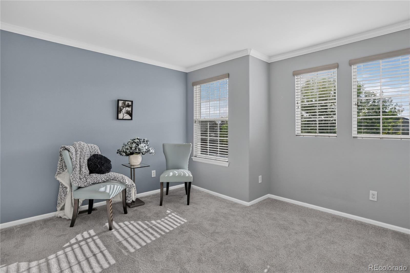 MLS Image #12 for 7396 s laredo street,aurora, Colorado