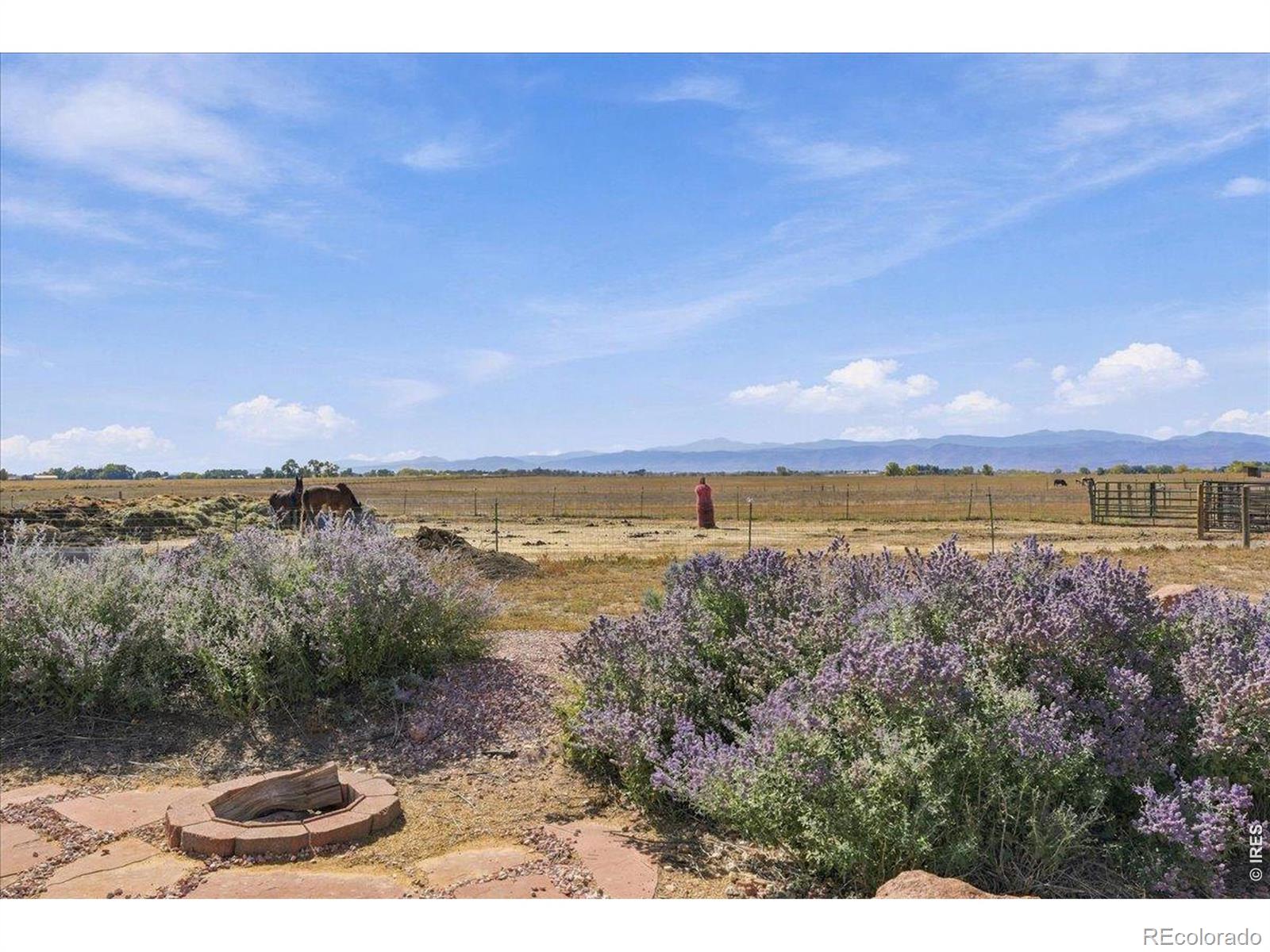 MLS Image #29 for 5703  rusty spur lane,wellington, Colorado