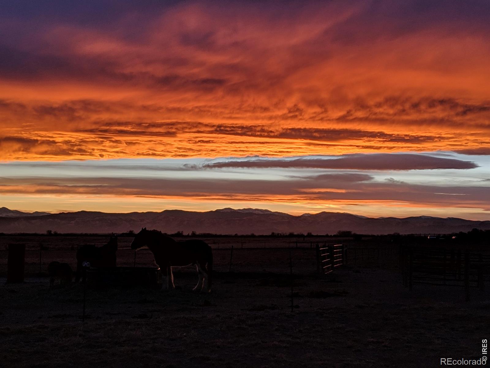 MLS Image #43 for 5703  rusty spur lane,wellington, Colorado