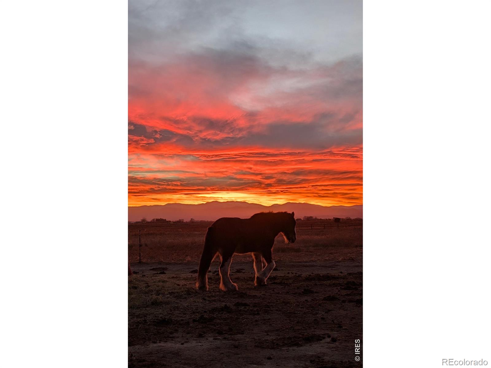 MLS Image #49 for 5703  rusty spur lane,wellington, Colorado