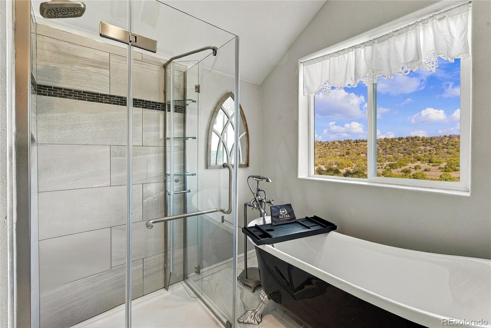 MLS Image #20 for 115  cedar canyon road,walsenburg, Colorado