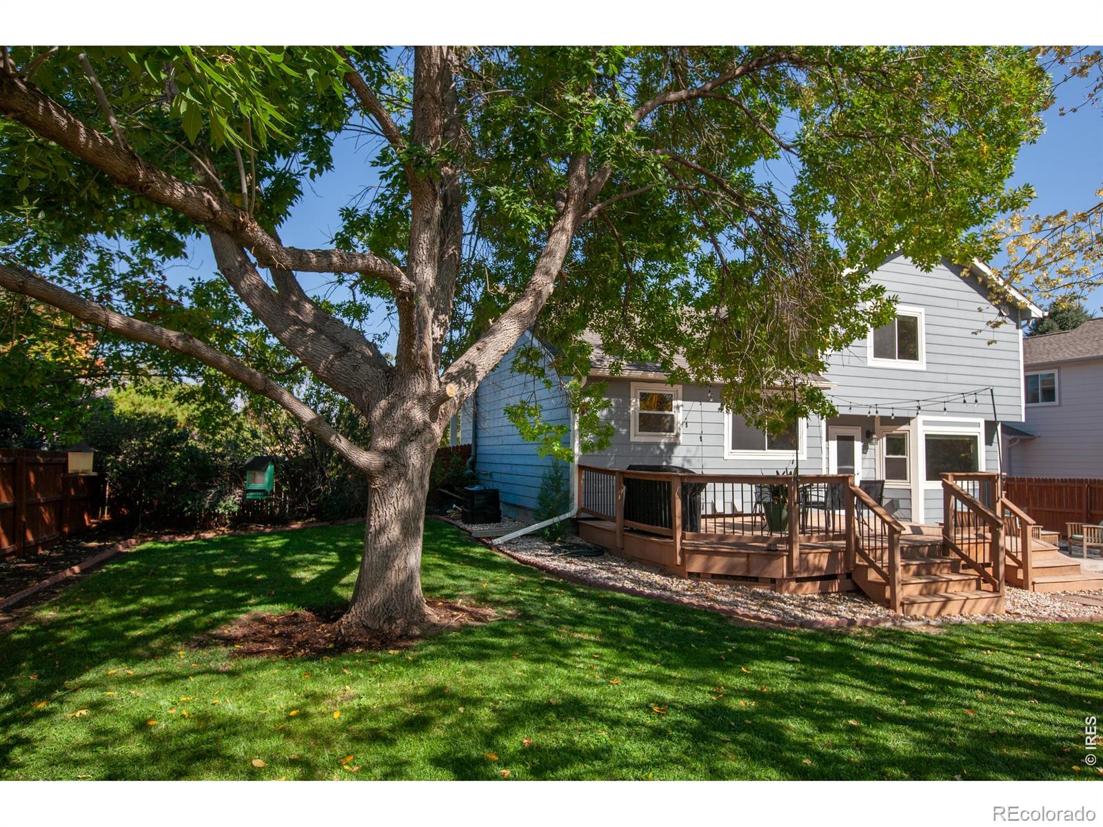 MLS Image #14 for 1419  morningside drive,longmont, Colorado