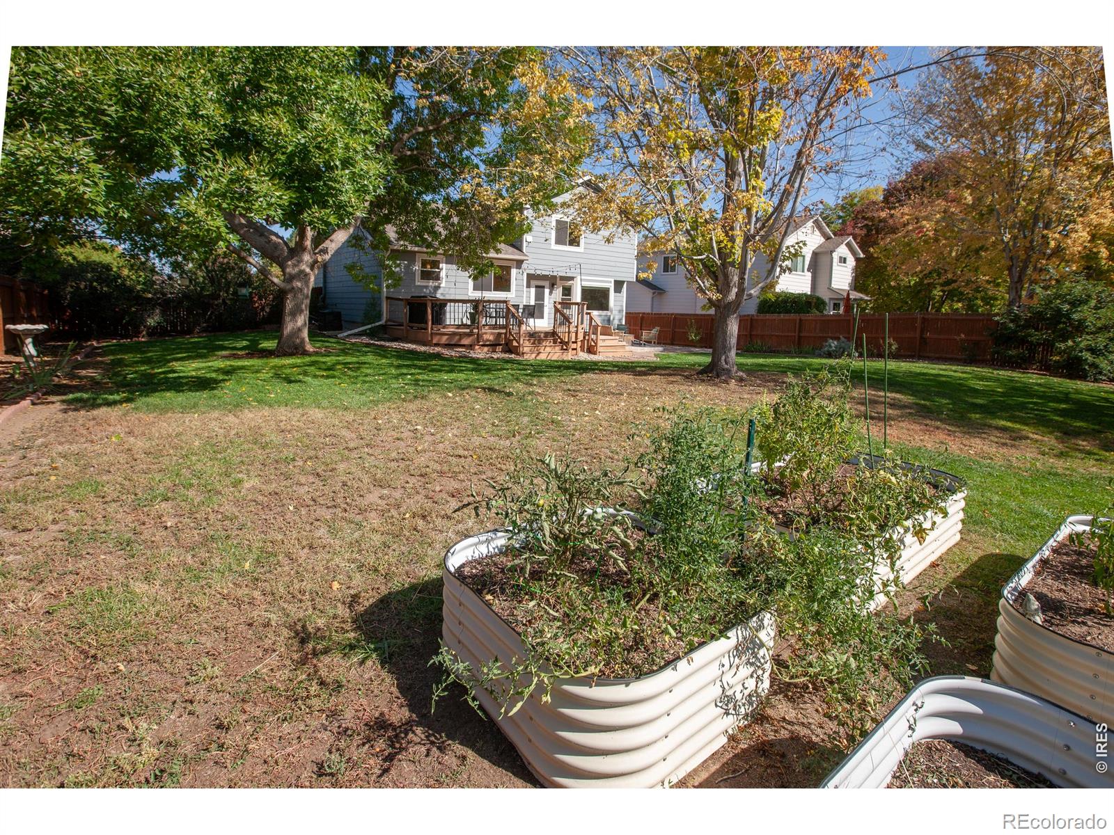 MLS Image #15 for 1419  morningside drive,longmont, Colorado