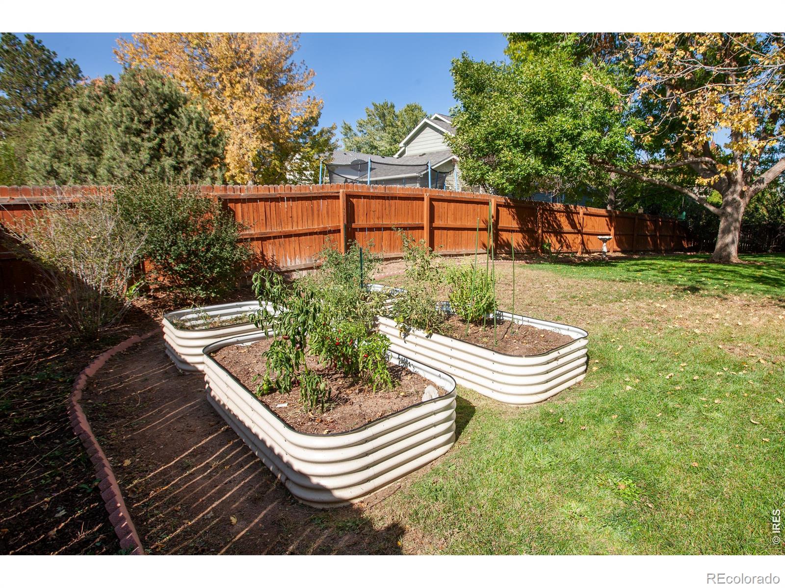 MLS Image #16 for 1419  morningside drive,longmont, Colorado