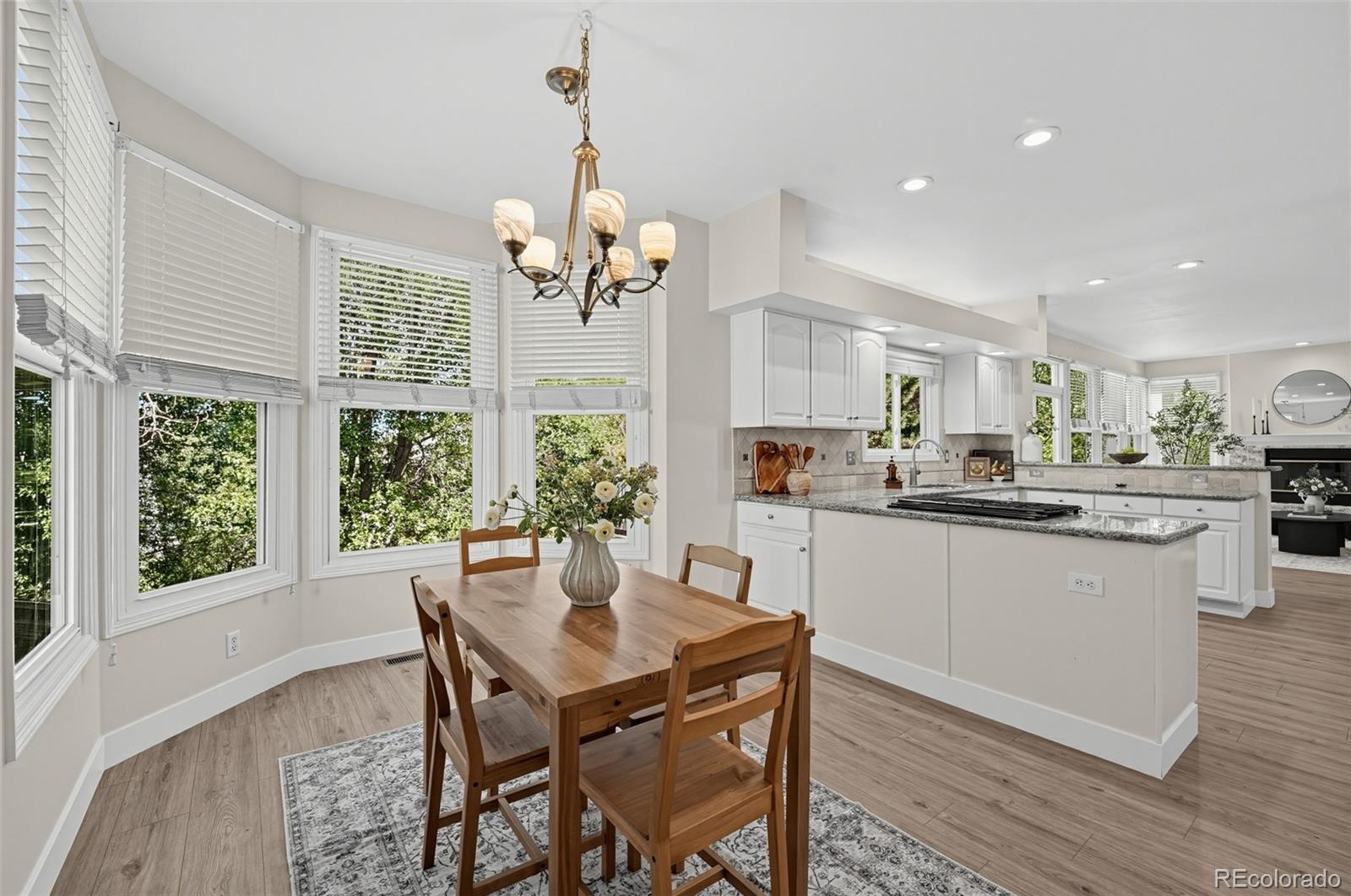 MLS Image #12 for 825  huntington drive,highlands ranch, Colorado