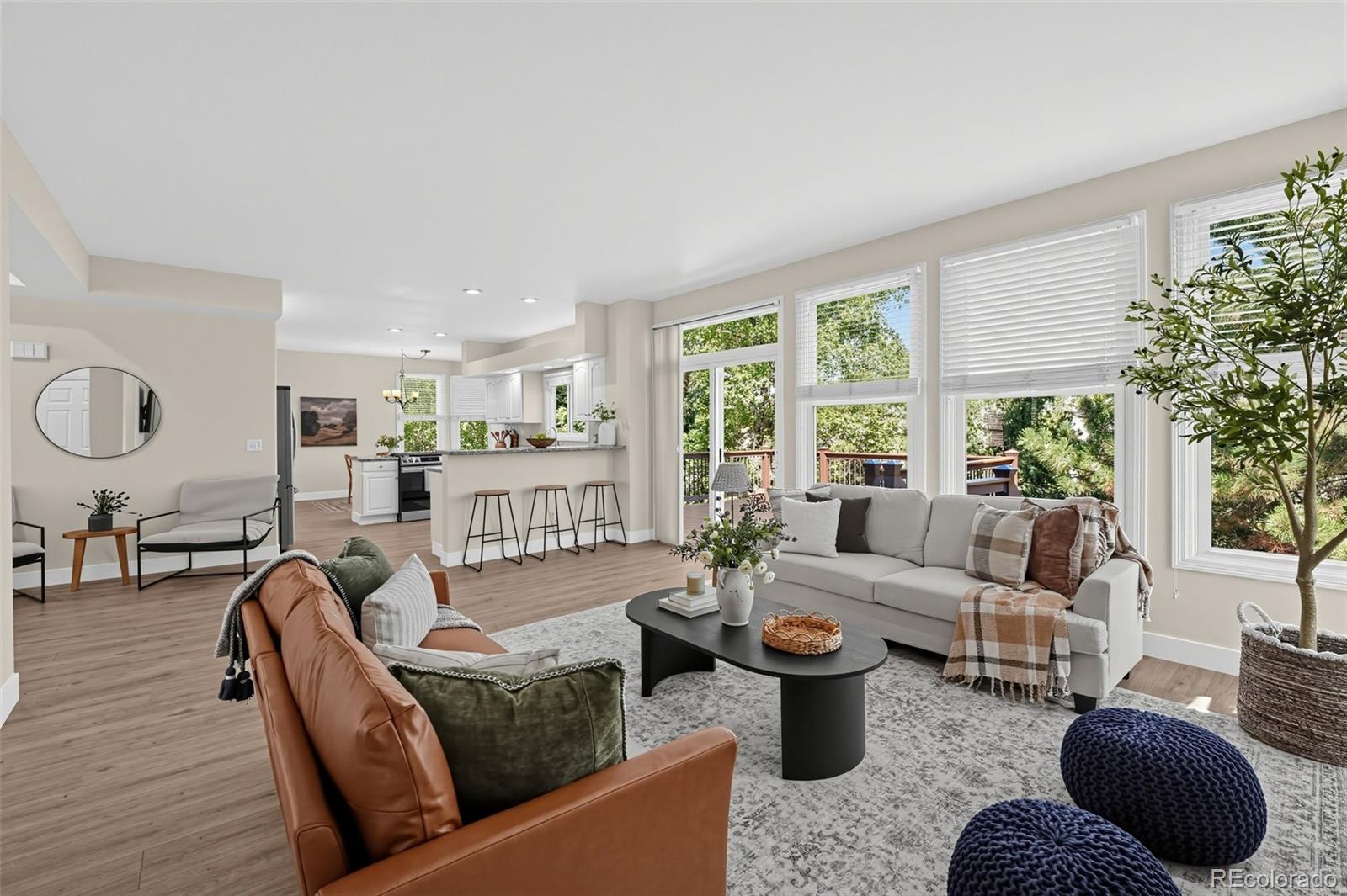 MLS Image #14 for 825  huntington drive,highlands ranch, Colorado
