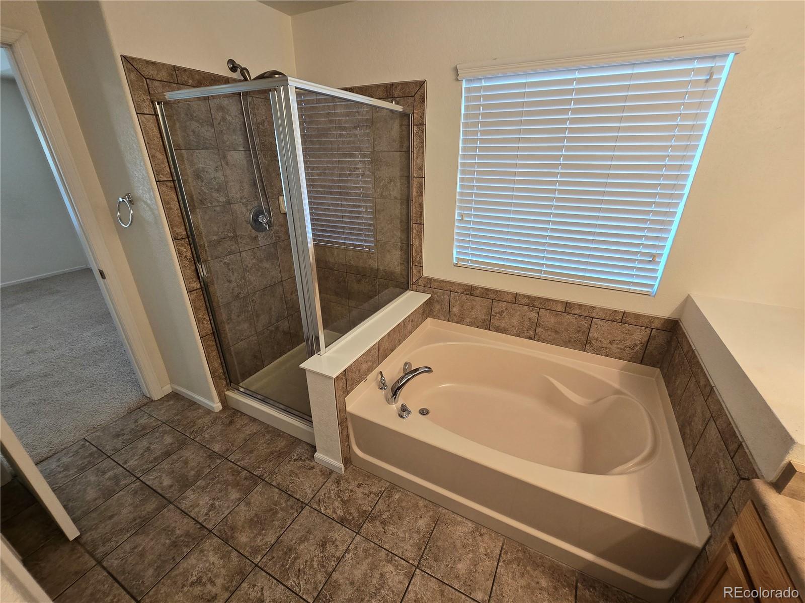 MLS Image #12 for 17292 e iron ore avenue,parker, Colorado