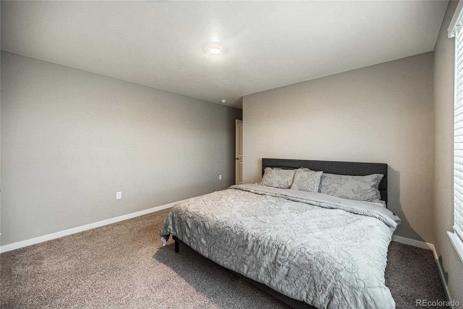 MLS Image #25 for 17308  red cosmos point,parker, Colorado
