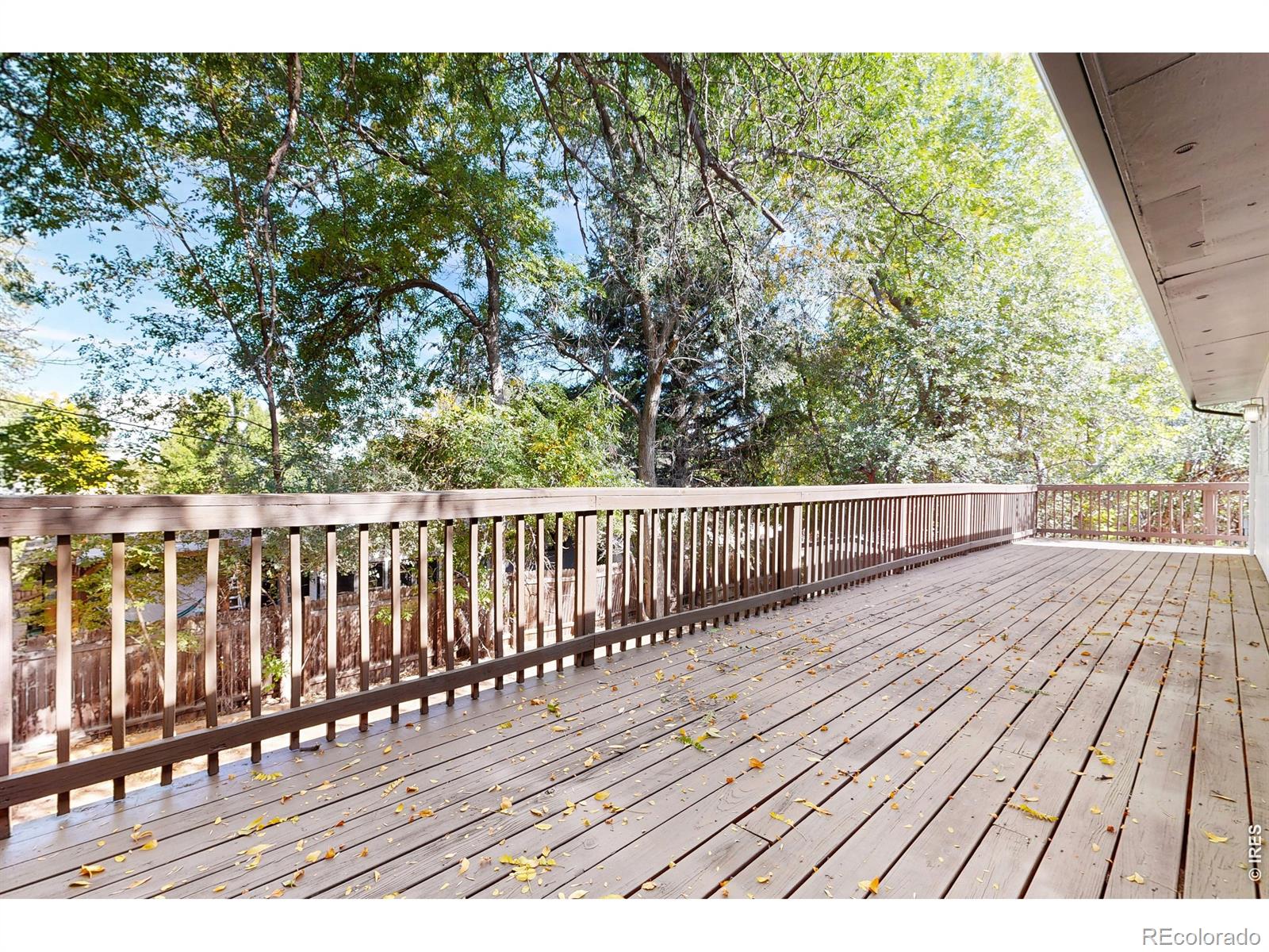 MLS Image #21 for 1608  collins court,fort collins, Colorado