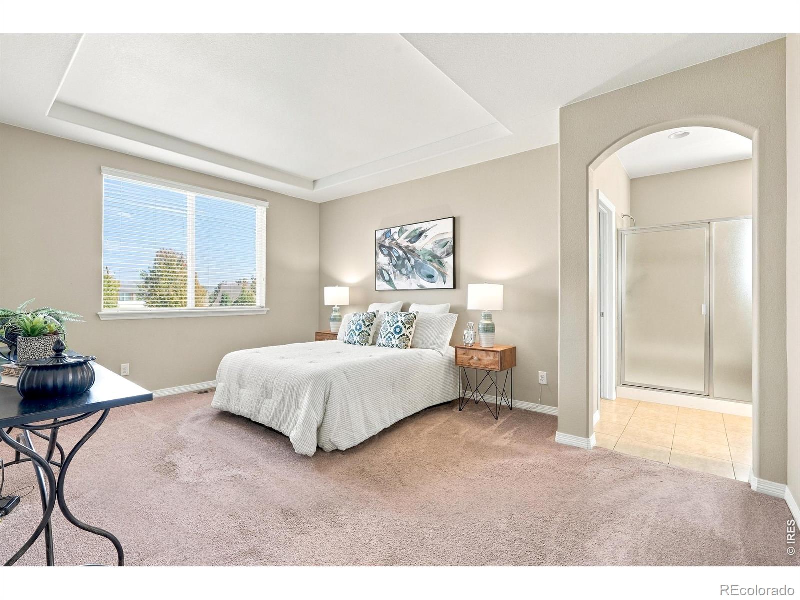 MLS Image #20 for 951  stanley court,erie, Colorado
