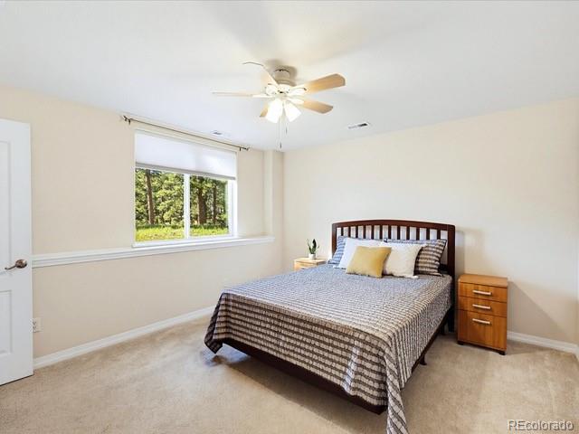MLS Image #29 for 18065  cumbres road,peyton, Colorado