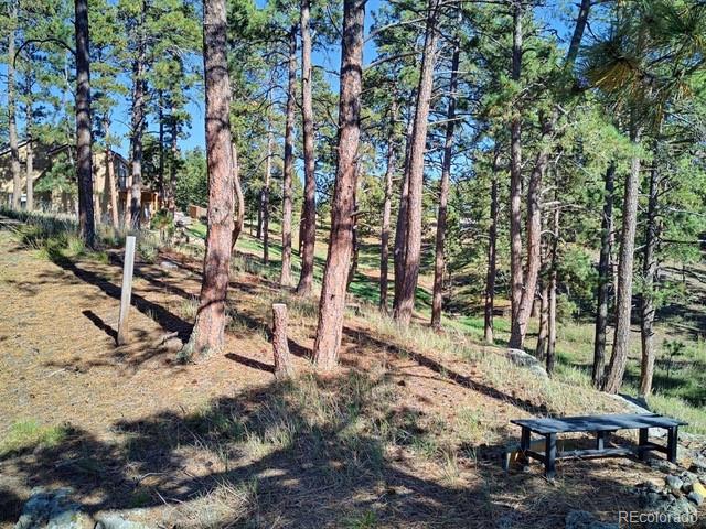 MLS Image #33 for 18065  cumbres road,peyton, Colorado