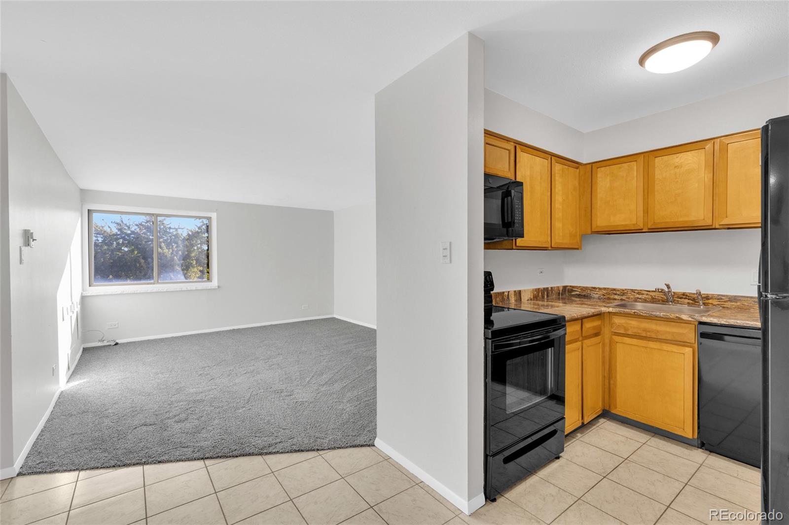 MLS Image #4 for 1366  garfield street 505,denver, Colorado