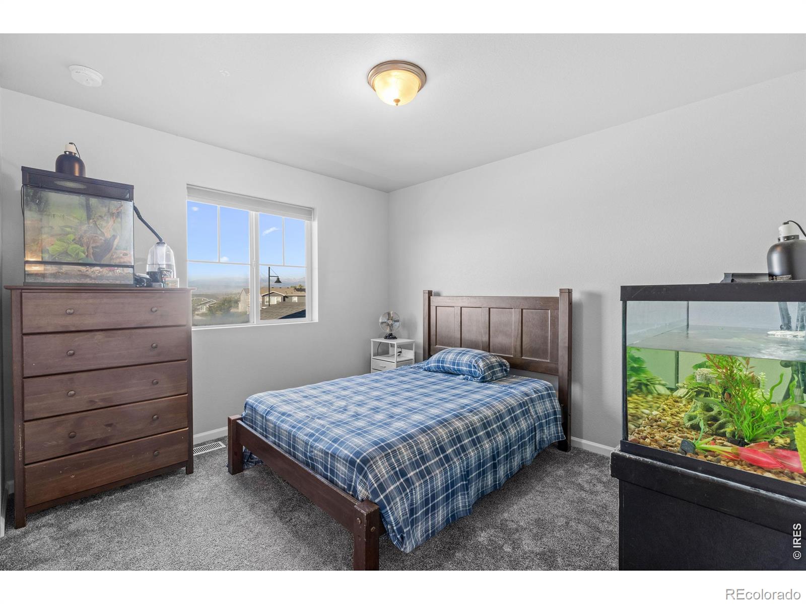 MLS Image #20 for 1  morgan circle,erie, Colorado