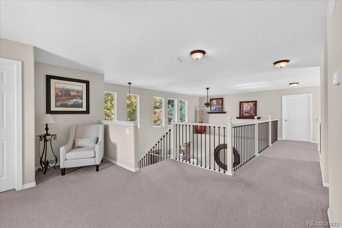 MLS Image #19 for 10922  independence drive,parker, Colorado