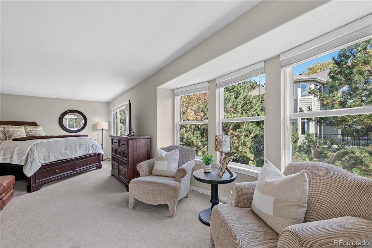 MLS Image #22 for 10922  independence drive,parker, Colorado