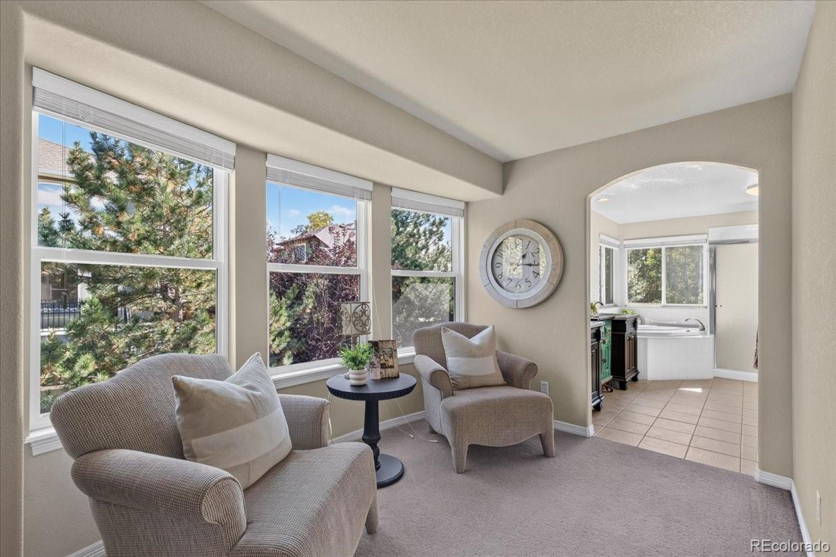 MLS Image #23 for 10922  independence drive,parker, Colorado